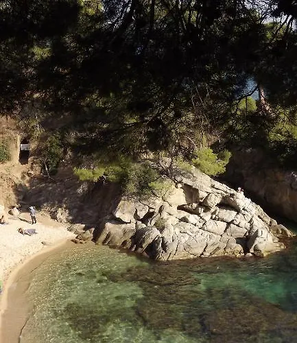 Rvapartaments Treumal Park Apartahotel 3*